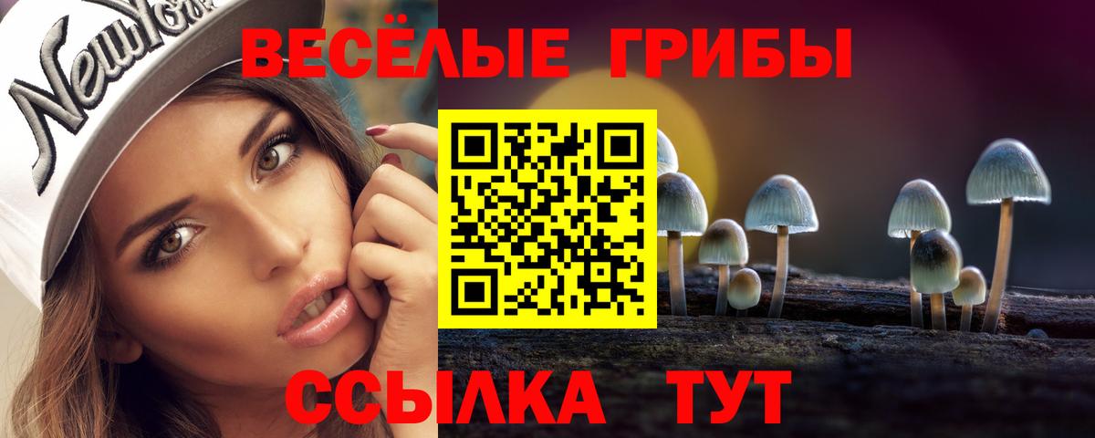 Псилоцибиновые грибы Psilocybine cubensis Мариинск